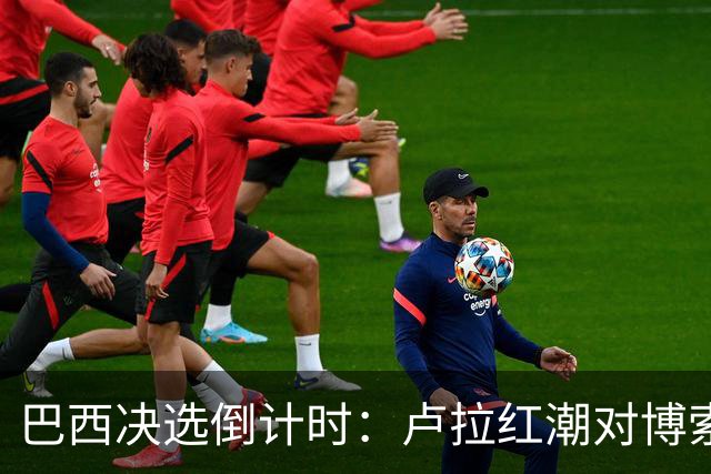 巴西决选倒计时：卢拉红潮对博索纳罗黄绿，双城对垒
